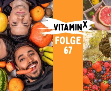 TOP 10 der Superfoods | Alain Frei, Salim Samatou & Marvin Endres | Vitamin X Podcast