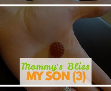 Mommy's Bliss Kids Elderberry Gummies + Immunity Support - with Zinc and Vitamin C to Help Supp...
