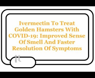 Ivermectin And COVID-19: Hamster Model Shows Symptom Improvement, Especially In Sense Of Smell.