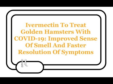 Ivermectin And COVID-19: Hamster Model Shows Symptom Improvement, Especially In Sense Of Smell.