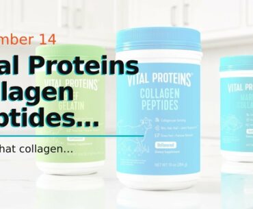 Vital Proteins Collagen Peptides Powder Supplement, Shrink-Wrapped 10oz Bundle, Hydrolyzed Coll...