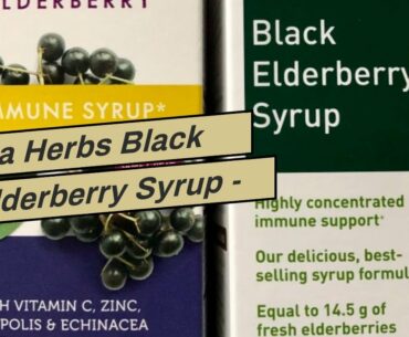 Gaia Herbs Black Elderberry Syrup - Daily Immune Support with Antioxidants, Organic Sambucus El...