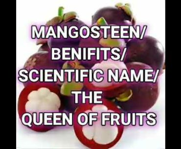 MANGOSTEEN/BENIFITS/SCIENTIFIC NAME/THE QUEEN OF FRUITS