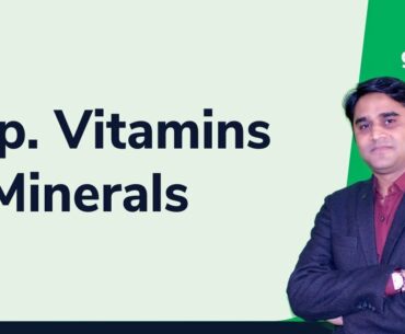 Important Vitamins and Minerals by Zubair Sir || State PCS Exams