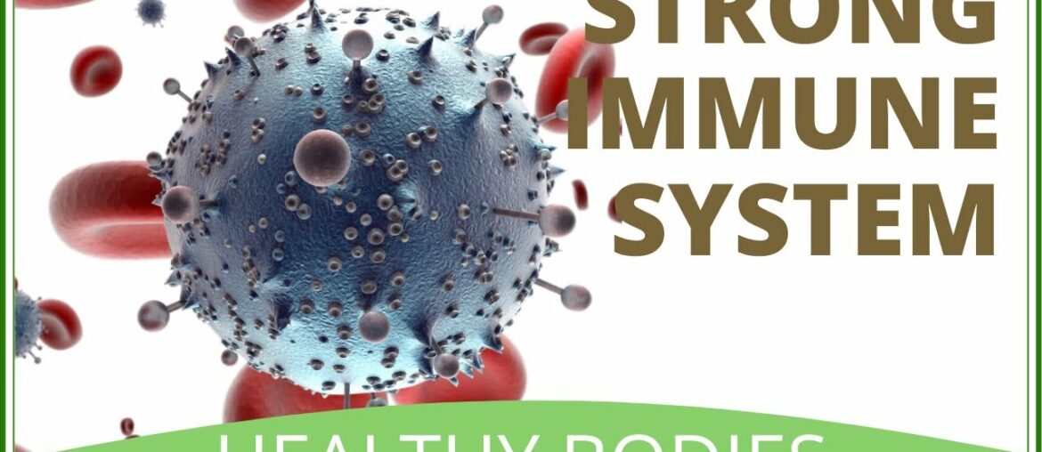 How To Increase White Blood Cells | How To Increase Immune System