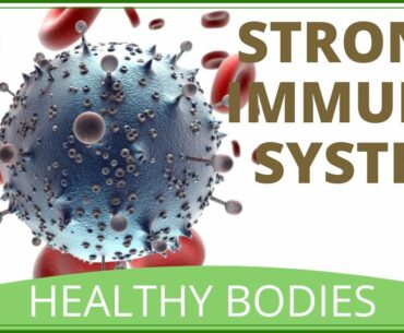 How To Increase White Blood Cells | How To Increase Immune System