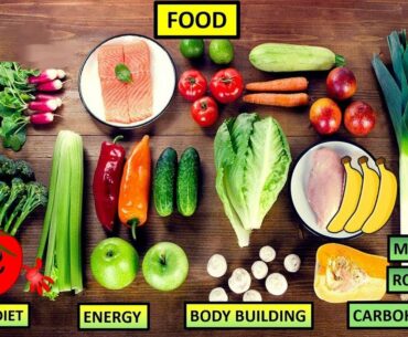 Food, Nutrition and Nutrients || Proteins, carbohydrates, fats, vitamins, nutrients, roughage, diet