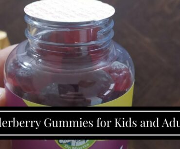 Elderberry Gummies for Kids and Adults (90 Count) - Natural Immune System Booster and Health Su...