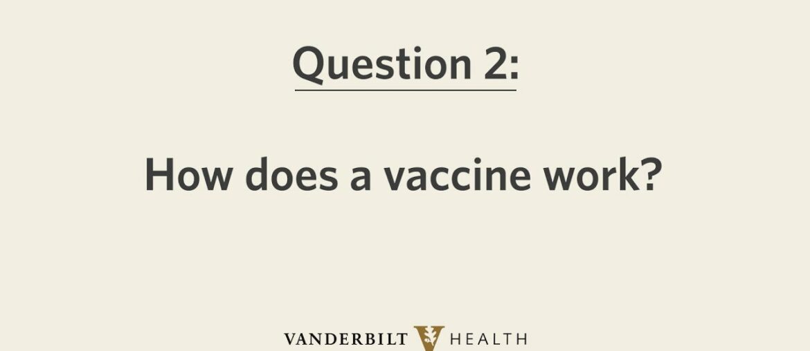 COVID-19 Vaccine 101: How Does A Vaccine Work?