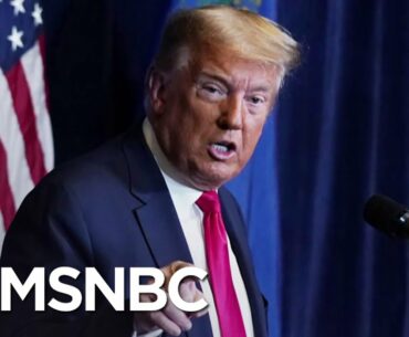 Trump Appointee Pushed 'Herd Immunity' Strategy On Covid | The 11th Hour | MSNBC
