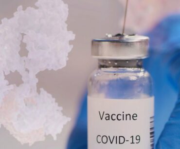 Understanding COVID-19: How Vaccines Work