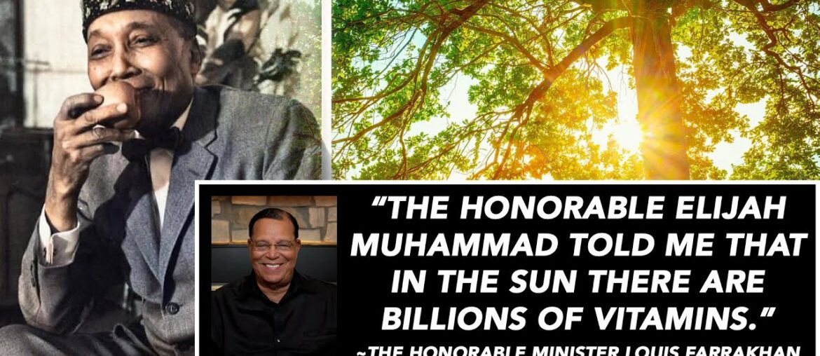 We need more Vitamin D! Bathe in the Sun! - Minister Louis Farrakhan