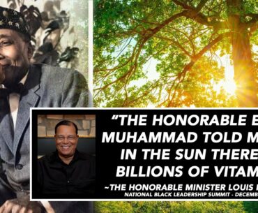 We need more Vitamin D! Bathe in the Sun! - Minister Louis Farrakhan