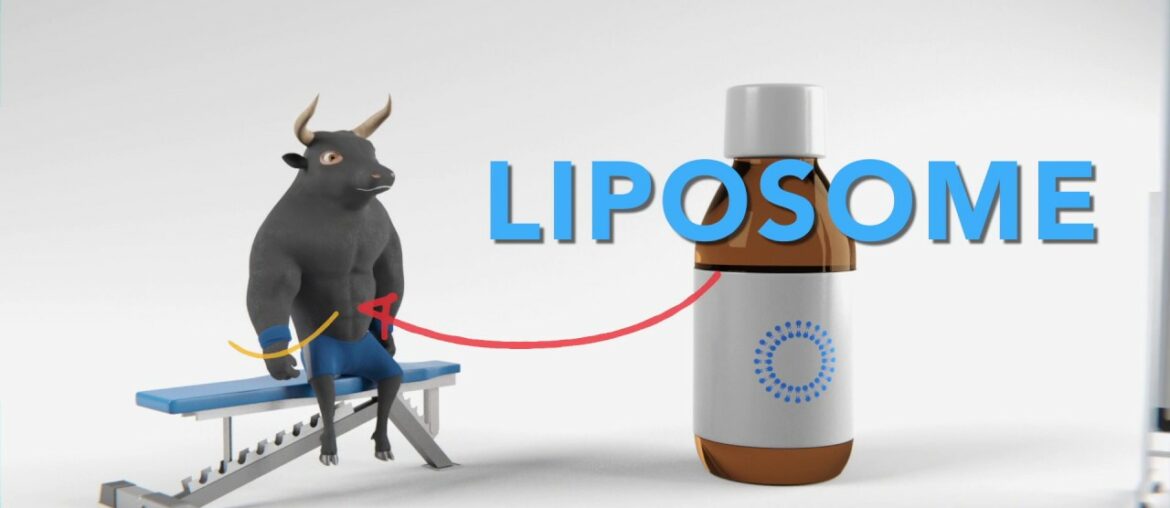 How Liposomal Supplements and Vitamins work in your Body