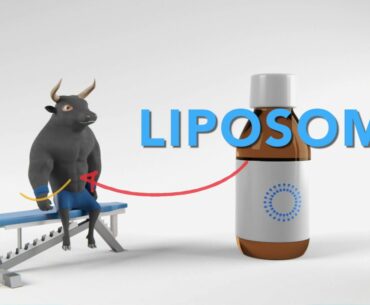 How Liposomal Supplements and Vitamins work in your Body