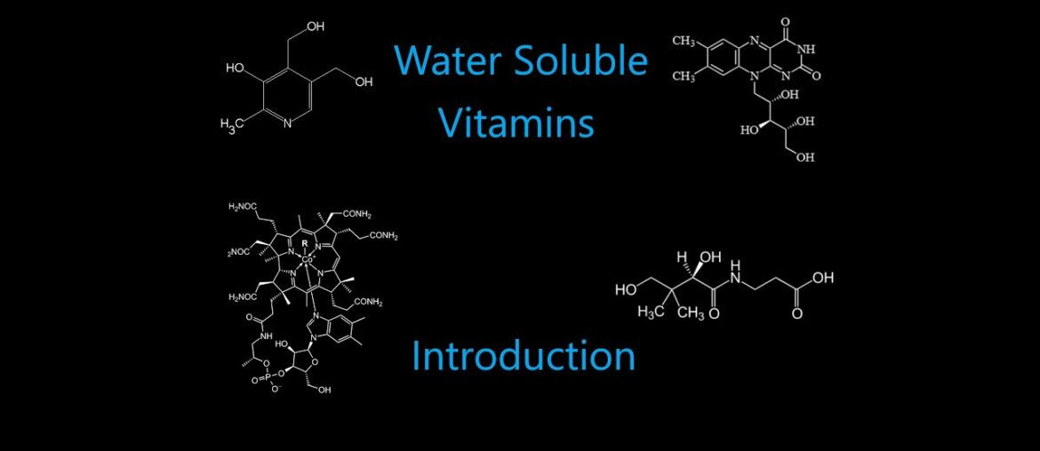 Nutrition 19 | Water Soluble Vitamins 1 - Introduction