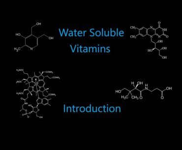 Nutrition 19 | Water Soluble Vitamins 1 - Introduction