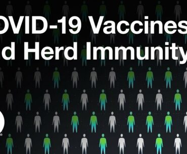 COVID-19 Vaccines and Herd Immunity