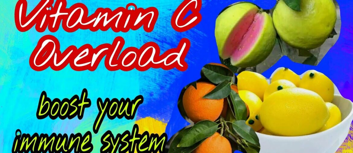 Vitamin C Overload / Guava, Lemon & Orange Juice /How Boost Your Immune System