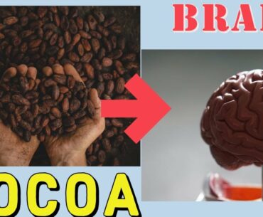 Cocoa Health Benefits For Brain Health, Blood Pressure, Type -2 Diabetics, Diabetes & Nutrients.