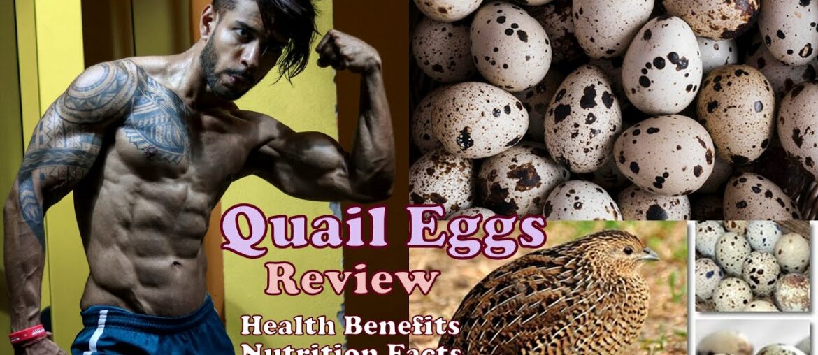 Quail Eggs Review - Health Benefits - Nutrition Facts - Comparison with Chicken Eggs - Fitness Need