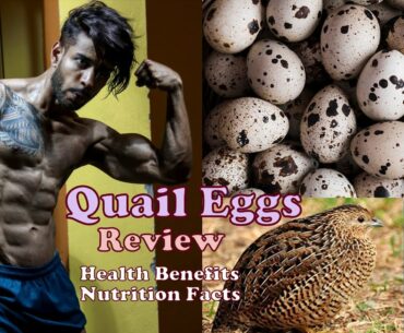 Quail Eggs Review - Health Benefits - Nutrition Facts - Comparison with Chicken Eggs - Fitness Need