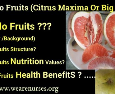 Pomelo Fruits(Citrus Maxima Or Big Lemon)History Background/Nutrition Values/Health Benefits/effects