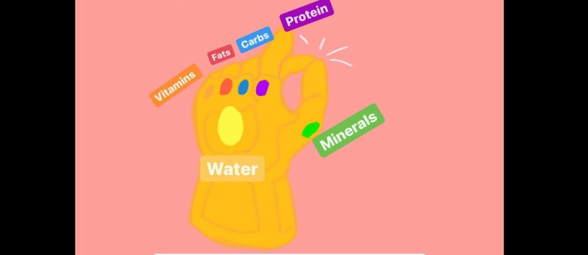 The 6 Nutrient Stones (Nutrients Explained)
