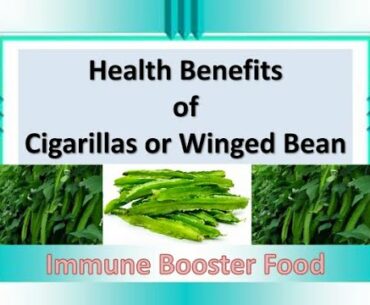 Immune Booster Food: One of the Health Benefits From Cigarillas or Winged Bean