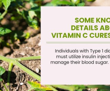 Some Known Details About Vitamin C Cures Ms - newmasterteam.it