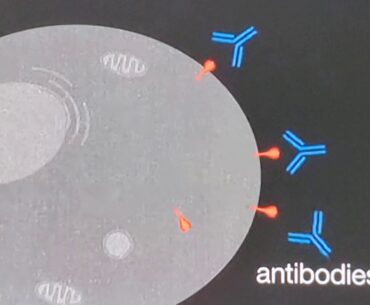 How the Pfizer-BioNTech Covid- 19 mRNA vaccine works mRNA Vaccine Coronavirus Cure 60 Minutes