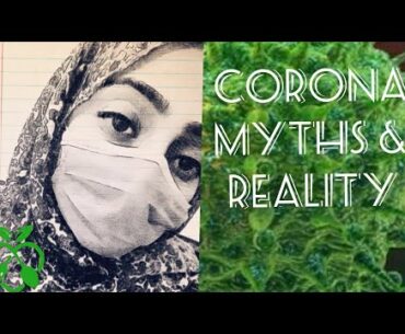 COVID -19 & immunity myths and reality | Dietitian Nimra Naeem