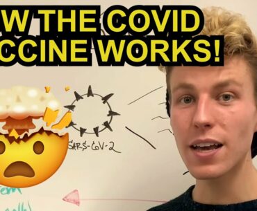 How the COVID-19 Vaccine Works (Best Explanation) | MeidasScience