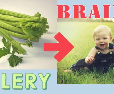 Celery Health Benefits, Celery Juice, Leaves, Roots, Vitamins, Brain Health, Digestion, Weight Loss.