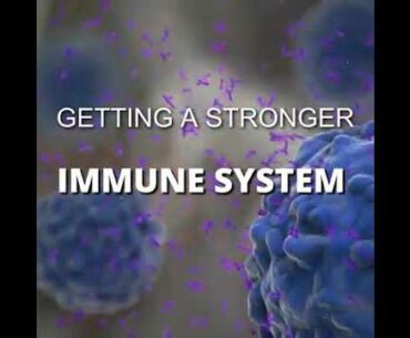 Strong Immune System makes you not easy to infect viruses..Remember covid19, a killer virus.