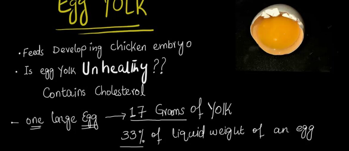 Egg Yolk | Is egg yolk Healthy ? | Egg yolk and cholesterol myth | Nutritional value