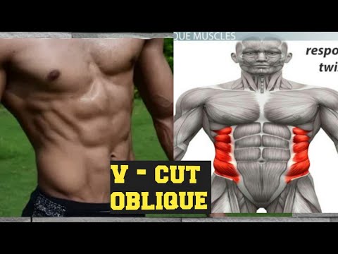 OBLIQUE V CUT ABS WORKOUT (8 best efrective exercises )