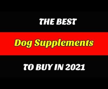 Best Dog Supplements To Buy In 2021