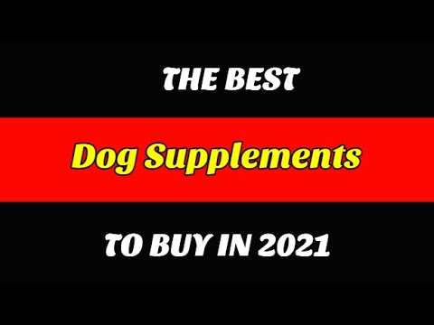 Best Dog Supplements To Buy In 2021