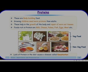 4 th science 2 sem Food and Nutrition part 2}