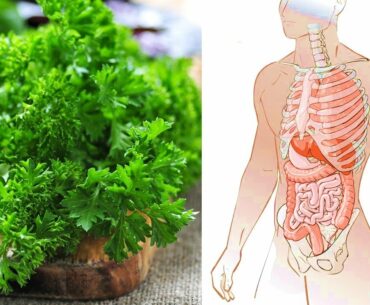 7 Health Benefits of Parsley Reasons Why You Should Eat More Parsley
