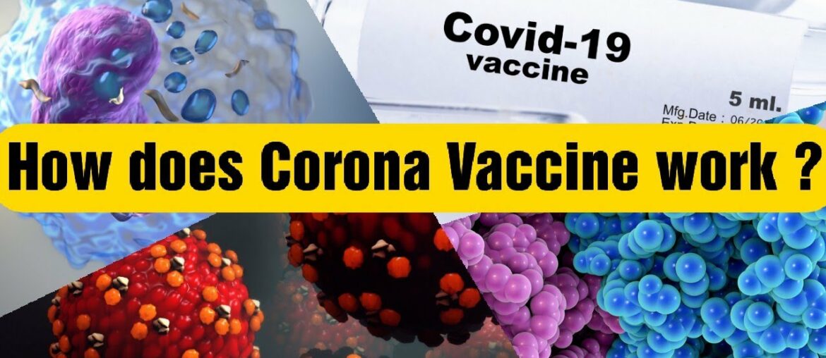 How Does Covid Vaccine Work ? Immune system how It works ? Covid vaccine how does it work ?