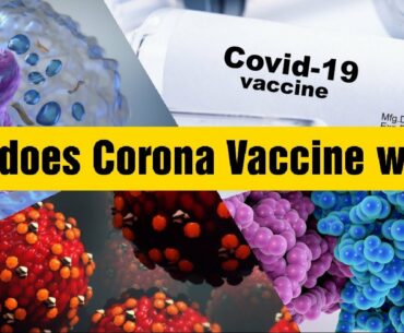 How Does Covid Vaccine Work ? Immune system how It works ? Covid vaccine how does it work ?