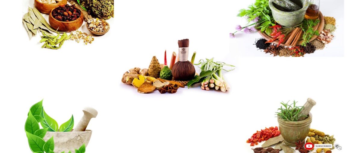 Keep your immune system healthy using ayurvedic products