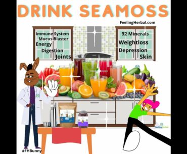 Sea Moss For Immune System Boost