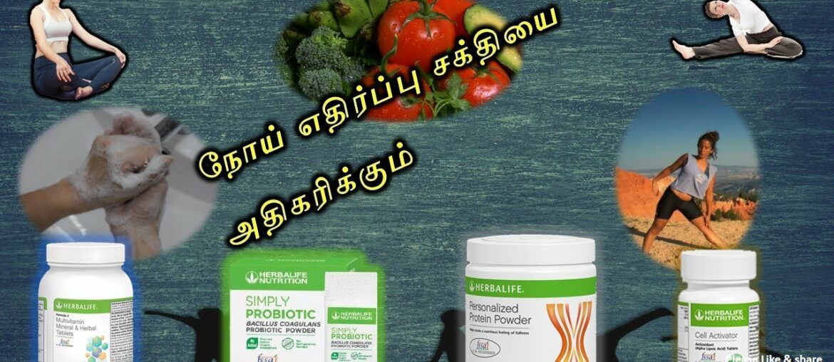 Boost Immune System with Herbalife|Multivitamins, Simply Probiotic, Protein and Cell Activator|Tamil