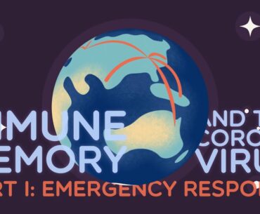 Immune Memory and the Coronavirus Part I: Emergency Response