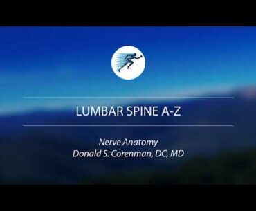 Spinal Nerve Anatomy and Physiology | Spine Health and Wellness | Nerve Chart and Diagram | Vail, CO