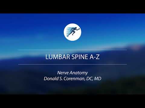 Spinal Nerve Anatomy and Physiology | Spine Health and Wellness | Nerve Chart and Diagram | Vail, CO