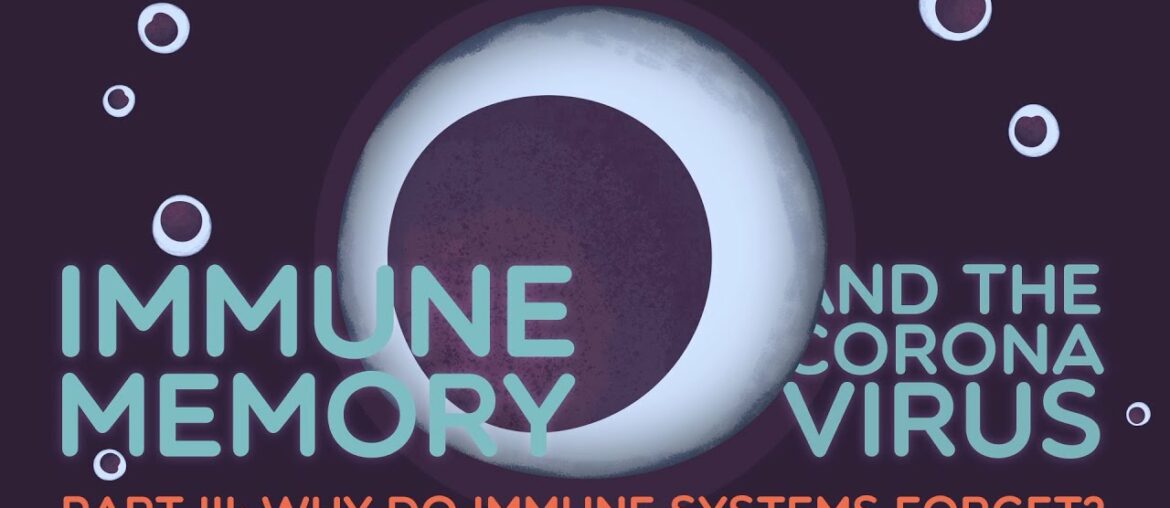 Immune Memory & the Coronavirus Part III: Why do immune systems forget?